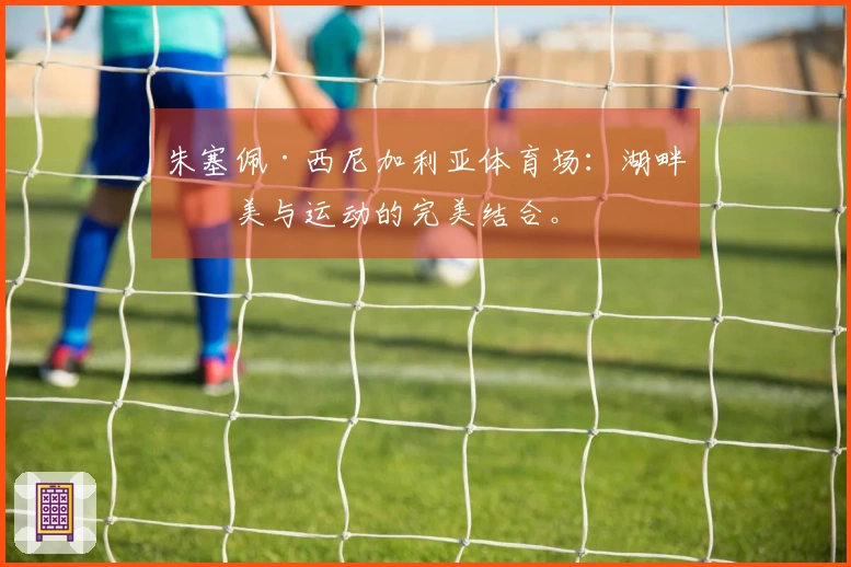 朱塞佩·西尼加利亚体育场：湖畔之美与运动的完美结合。