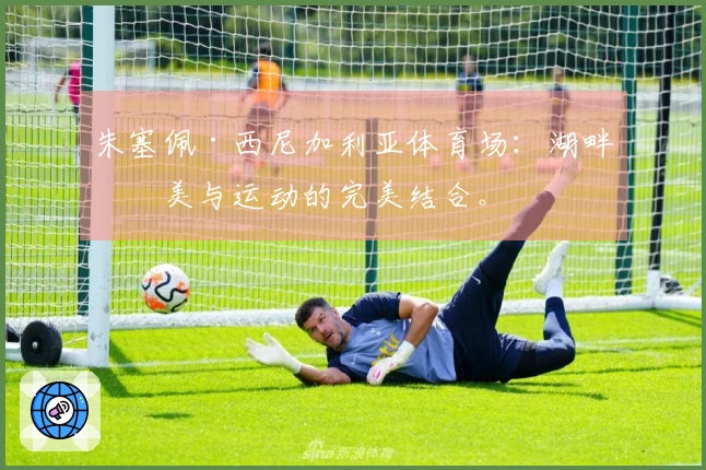 朱塞佩·西尼加利亚体育场：湖畔之美与运动的完美结合。